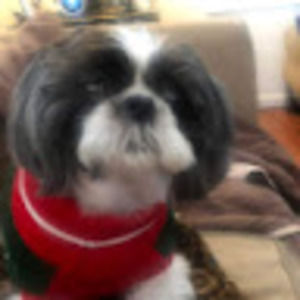 Meet your Posher, Lois